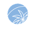 Cercle de palmiers
