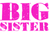 Big Sister 2026 Announcement