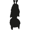 Bat