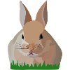 Houx Lapin dans l’herbe