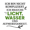 I need light, water, attention