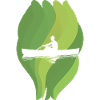 Rowing Water Team