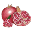 Granatapfel, der