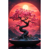 Rød Himmel Bonsai Belysning Solnedgang