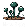 SPORES, NEW LIFE