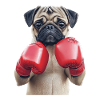 Mops
