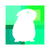 Rodent Pet