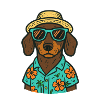 DACHSHUND AT THE BEACH