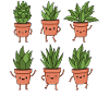 Planter