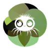 Tarentule Araignée Insecte