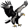 Eagle - Cute Bird Sticker