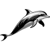 Dolphin - Cute Ocean Pet Design