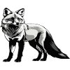 Renard - Conception d’animaux mignons