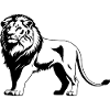 Lion - Cute Wildcat Design