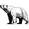 Polar Bear - Cute Zoo Sticker