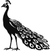 Peacock - Bird Sticker