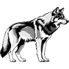 Loup - Conception de chien mignon