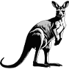 Kangaroo - Cute Australian Pet Design