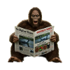 Big foot times