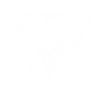 Elephant Sunglasses Summer