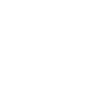 Bitcoin Icon