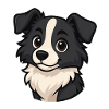 Border Collie Dog