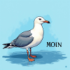 Moin, Möwe