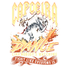 Capoeira Dance Likes Nobody's Watching