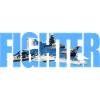 Fighter Su-57