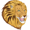 Lio the Lion