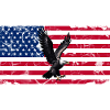 Liberty Eagle over US flag