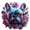 French Bulldog Head