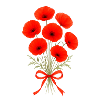Blumenstrauss - Mohnblume - Klatschmohn