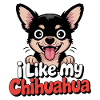 J’aime mon Chihuahua Hundeliebe