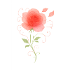 Rose délicate et filigrane