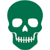 Skull: Symbol of eternity