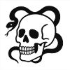 Skull & Snake: Symbol of Transience