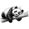 Tired Panda