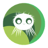 Tarantula, Predator, Spider