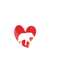 Elephant Lovers Gifts
