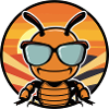 Ant Cool Summer