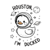 Houston, I'm Ducked – Space Gag