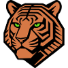 Geometric Tiger - Vector Design