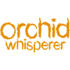 Orchids Whisperer Text