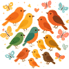 Birds and butterflies