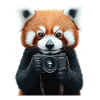 Roter Panda