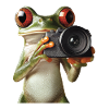 Frosch