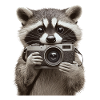 Waschbär