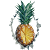 Ananas