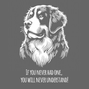 Bernese mountain dog